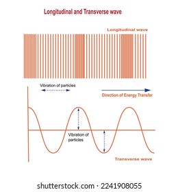 Ola longitudinal y transversal. Las ondas longitudinales consisten en compresiones y refacciones, mientras que las ondas transversales consisten en crestas y abrevaderos. ilustración vectorial física