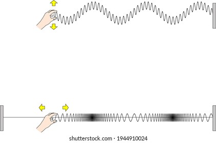 Longitudinal and transverse waves of the spring