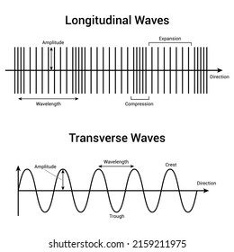 Longitudinal Transverse Waves Vector Illustration Isolated Stock Vector ...