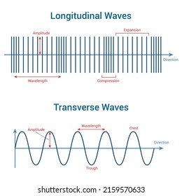 Longitudinal Transverse Waves Vector Illustration Isolated Stock Vector ...