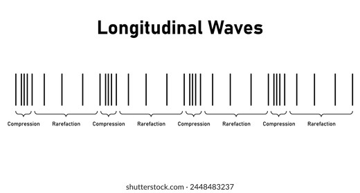 Ondas longitudinales. Compresión y rarefacción.