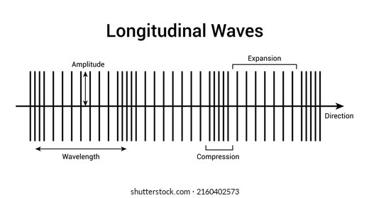 longitudinal waves. Vector illustration isolated on white background.