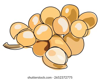 Longkong fruit is in a continuous line pattern on a white background.