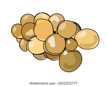 Longkong fruit is in a continuous line pattern on a white background.