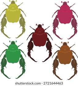 Ilustración de escarabajo de patas largas que representa la variedad y el detalle del insecto.