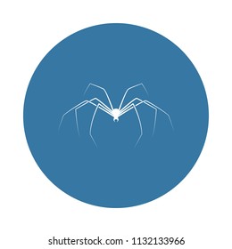 long-legged spider icon. Element of insect icons for mobile concept and web apps. Badge style long-legged spider icon can be used for web and mobile apps