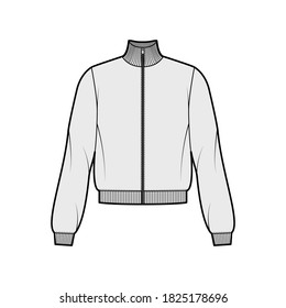 Long-sleeved zip-up sweatshirt technical fashion illustration with cotton-jersey, casual-fit, ribbed trims. Flat outwear jumper apparel template front grey color. Women, men unisex top CAD mockup