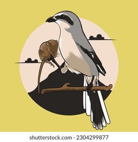 The Long-tailed Shrike birds on a branch holding mice