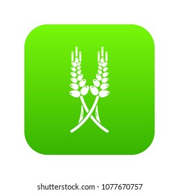 Long-term wheat icon green vector isolated on white background