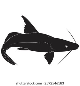 Long-whiskered Catfish , Asian ayer fish, bay of bangle fish, Padma ayer fish, fish logo outline,  icon, silhouette vector illustration black and white