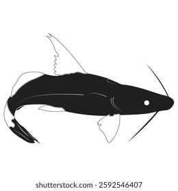 Long-whiskered Catfish , Asian ayer fish, bay of bangle fish, Padma ayer fish, fish logo outline,  icon, silhouette vector illustration black and white