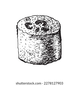 Loofan, natural sponge: loofan sponge, Vector hand drawn illustration. sketch