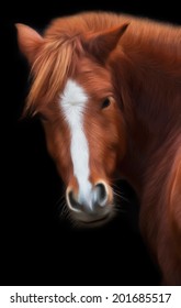 Look Back Of A Grace Red Horse With White Stripe On The Face, Isolated On Black Background. Beautiful Mare, Looking Straight Into The Camera. Amazing Vector Image In Oil Painting Style. 