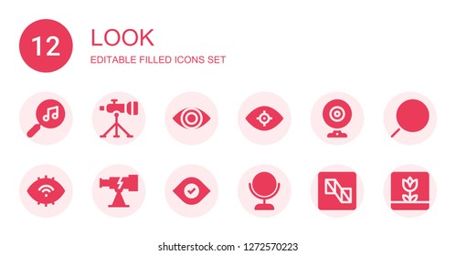 look icon set. Collection of 12 filled look icons included Search, Telescope, Eye, Vision, Webcam, Mirror, Preview, Searching, Macro