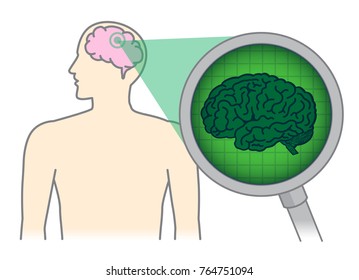 Looking inside of the human brain with Magnifying glass. Illustration about Medical scan in a head for health check.