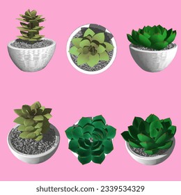 Looking for live houseplants? Plants for Pets has a range of options, including potted succulents and cacti that thrive in indoor environments.