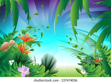 Looking through the jungle, forest