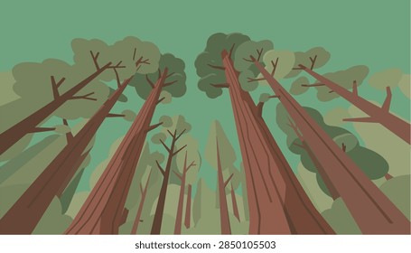 Looking Up Through Tall Forest Trees Illustration