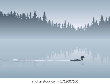 Loon crossing calm lake vector background