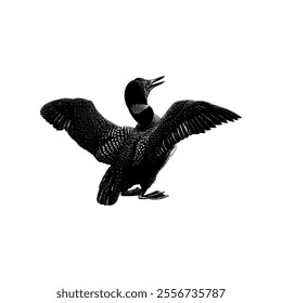 Loon hand drawing vector isolated on white background.