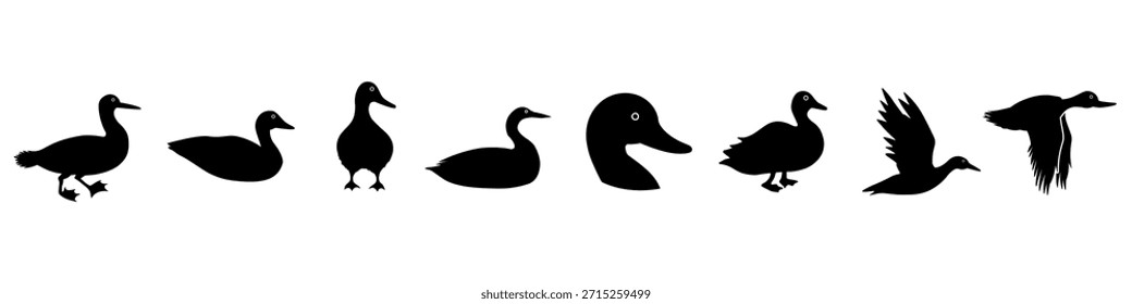 Ícone de logon definido como vetor. Coleção de sinais de Ilustração de Pato. símbolo de pássaro. logotipo de ave.