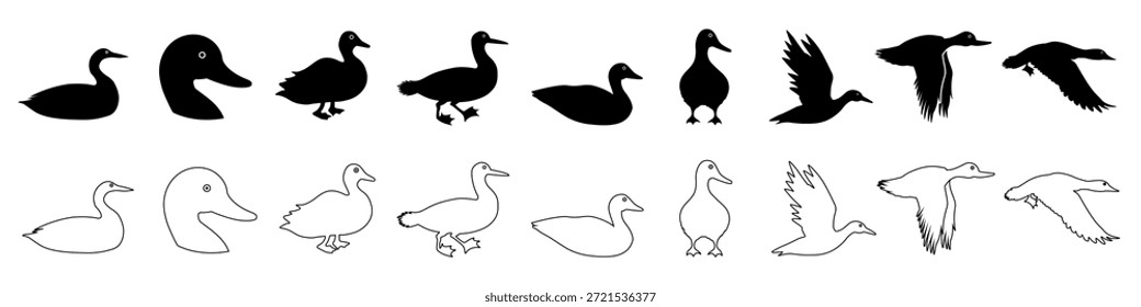 Ícone de logon definido como vetor. Coleção de sinais de Ilustração de Pato. símbolo de pássaro. logotipo de ave.