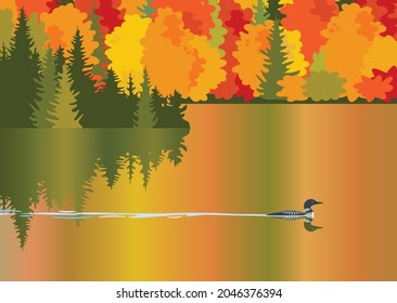 Loon on lake at fall vector background