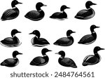 Loon Silhouette Vector Illustration design bundle