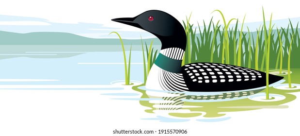 loon swimming near lake shore by tall grasses 