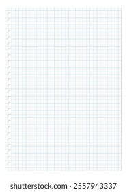 loose leaf paper, grid paper, filler paper