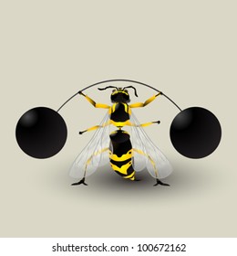 Loosing weight. Conceptual graphic with a wasp lifting weights. Image contains transparency effect.