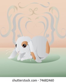 Lop Bunny