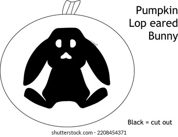 Lop eared bunny rabbit halloween pumpkin carving.