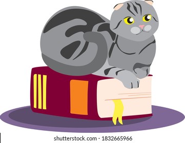 Lop-eared cat on the book