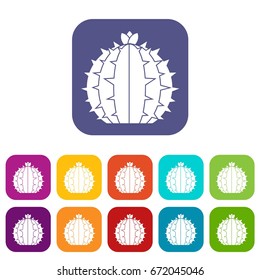 Lophophora cactus icons set vector illustration in flat style In colors red, blue, green and other