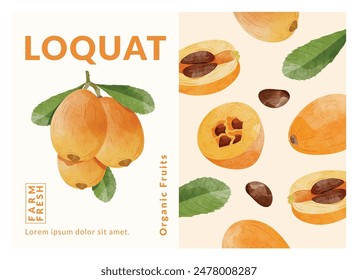 Loquat fruit packaging design templates, watercolour style vector illustration.