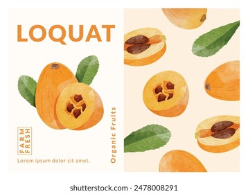 Loquat fruit packaging design templates, watercolour style vector illustration.