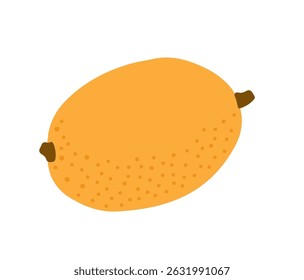 Loquat tropical exotic fruit. Japanese medlar, chinese plum. Vector hand-drawn illustration, isolated on white background.
