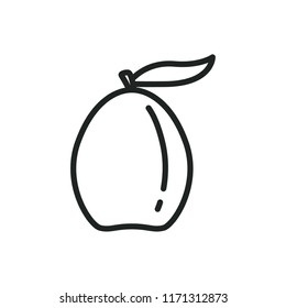 loquat vector icon