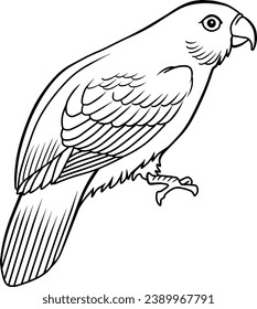 lori bird line vector illustration isolated on white background