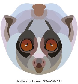 lori face. The muzzle of a slow mammal with large eyes is depicted. Bright portrait on a white background. predictive graphics. animal logo.