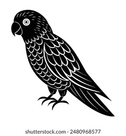 Lorikeet Bird Silhouette Art Design