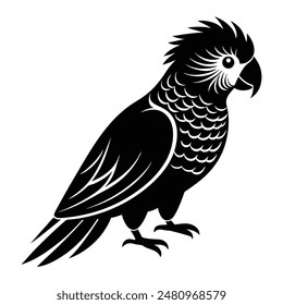 Lorikeet Bird Silhouette Art Design