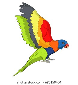 Australian Rainbow Lorikeets Stock Illustrations, Images & Vectors Shutterstock