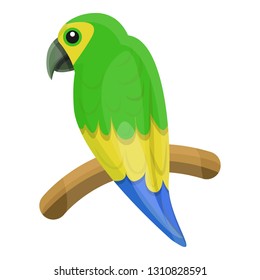 Lory parrot icon. Cartoon of lory parrot vector icon for web design isolated on white background