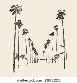 Los Angeles (California) engraved style, hand drawn vector illustration