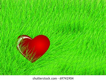 Lost in the heart of the grass