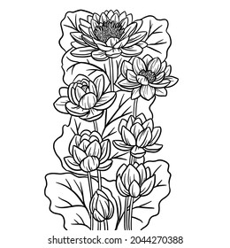 Lotos flowers and leaves composition. Hand drawn vector outline illustration with floral theme