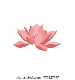 Lotos vector illustration