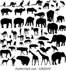 Lots of Animal vector silhouettes